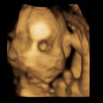 [なな]妊娠記録　6か月目～7か月目突入(胎動を自覚)